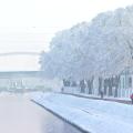 A strasbourg quand la pollution se transforme en neige 20161209 0933 03593a 0 1x