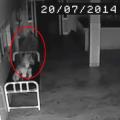 Ame fantome hopital chine paranormal