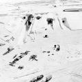 Basemilitaire