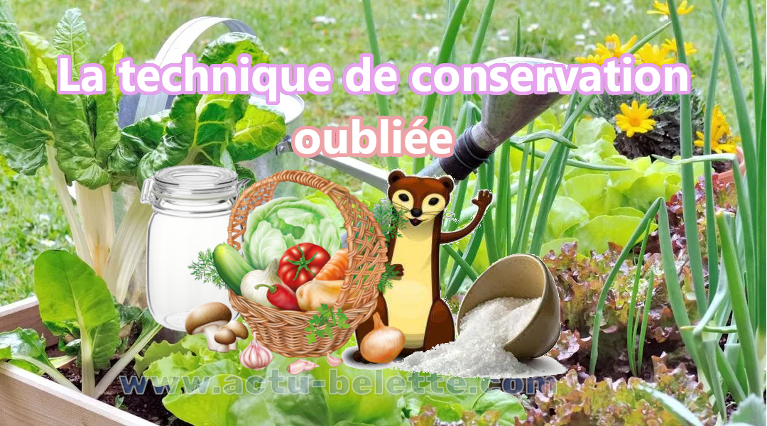 Comment installer son potager carre en bois 5560389