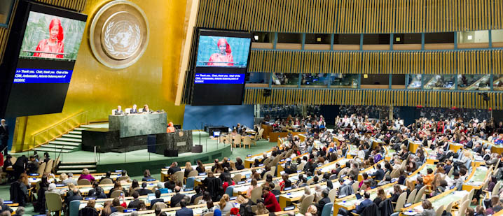 image apercu de la Commission ONU