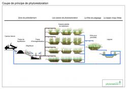 Corps phytocoupegrand 091029