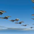 Evasion fiscale 1200x680