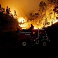 Le feu s’est déclaré samedi peu avant 15h (heures locales) dans la commune de Pedrogao Grande.