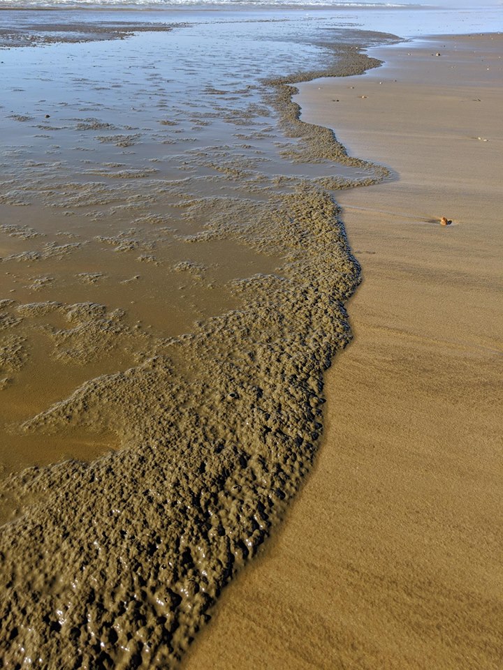 Gironde