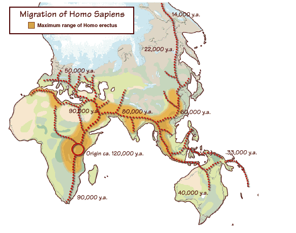 Migrationomosapien