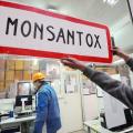 Monsantox