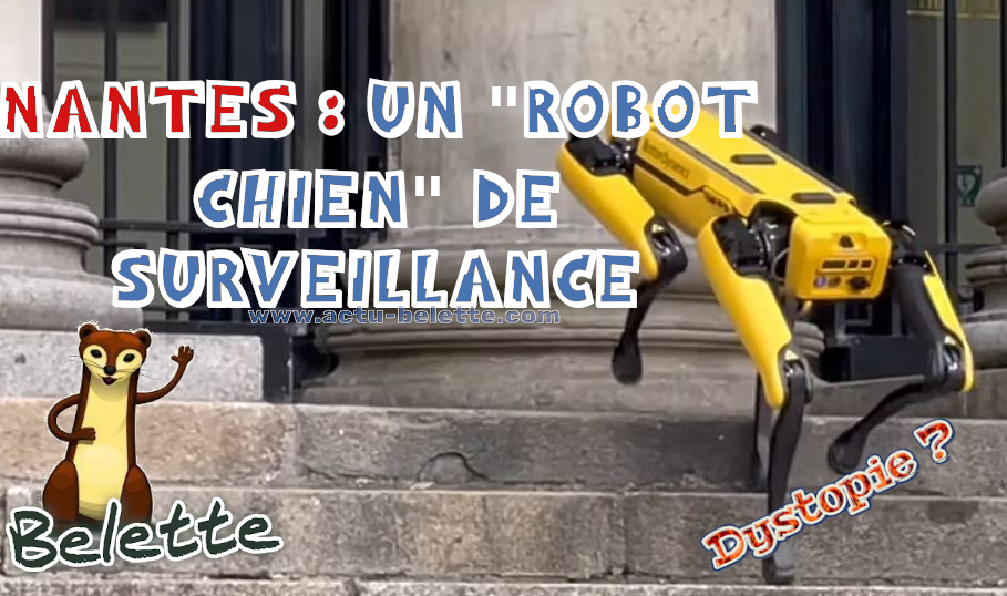 Robotvillenantes