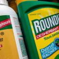 Roundup desherbant