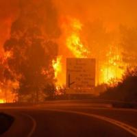 Le feu s’est déclaré samedi peu avant 15h (heures locales) dans la commune de Pedrogao Grande.
