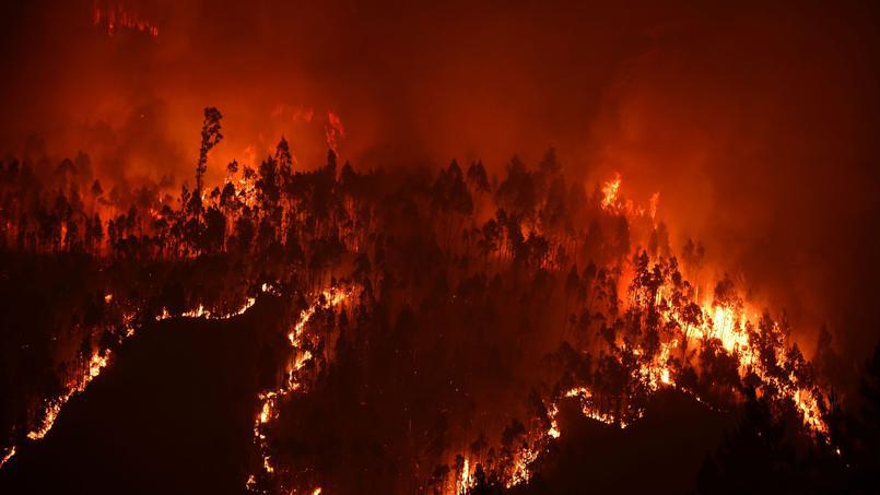 Le feu s’est déclaré samedi peu avant 15h (heures locales) dans la commune de Pedrogao Grande.
