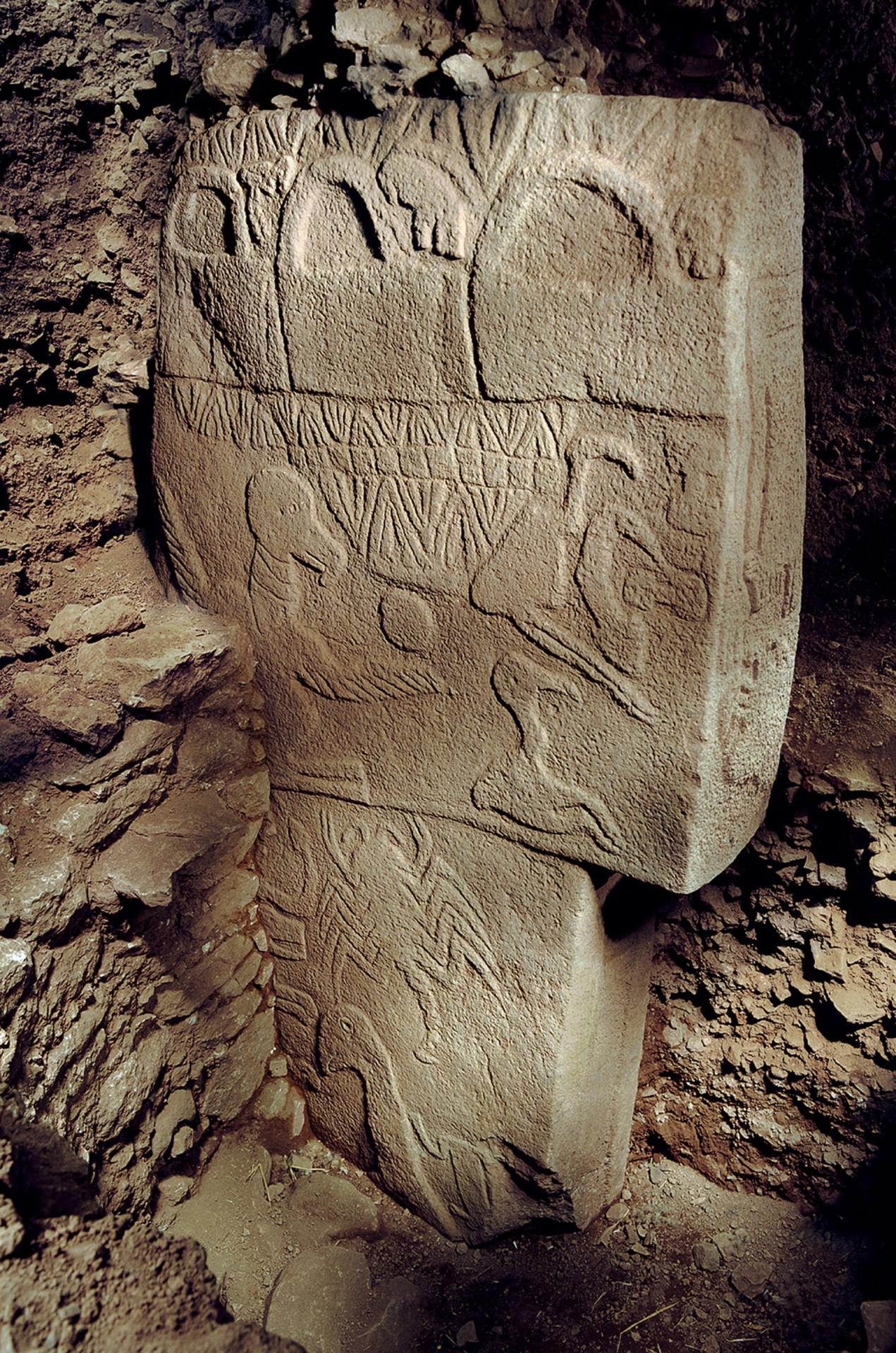 Détail d'un pilier de Gobekli Tepe