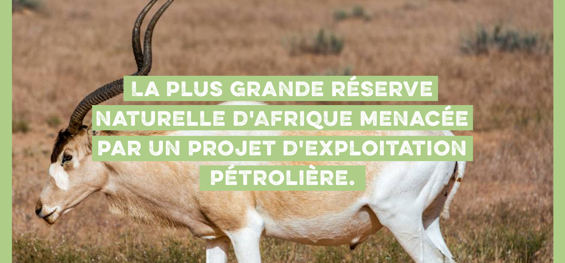 Reserve naturel menace e